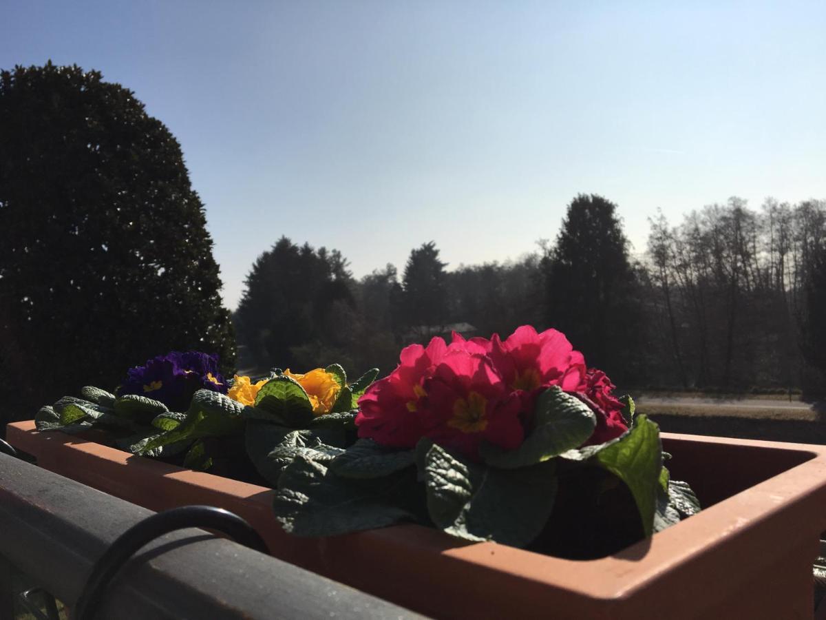 La Terrazza Sul Naviglio B&B Bernate Ticino Buitenkant foto